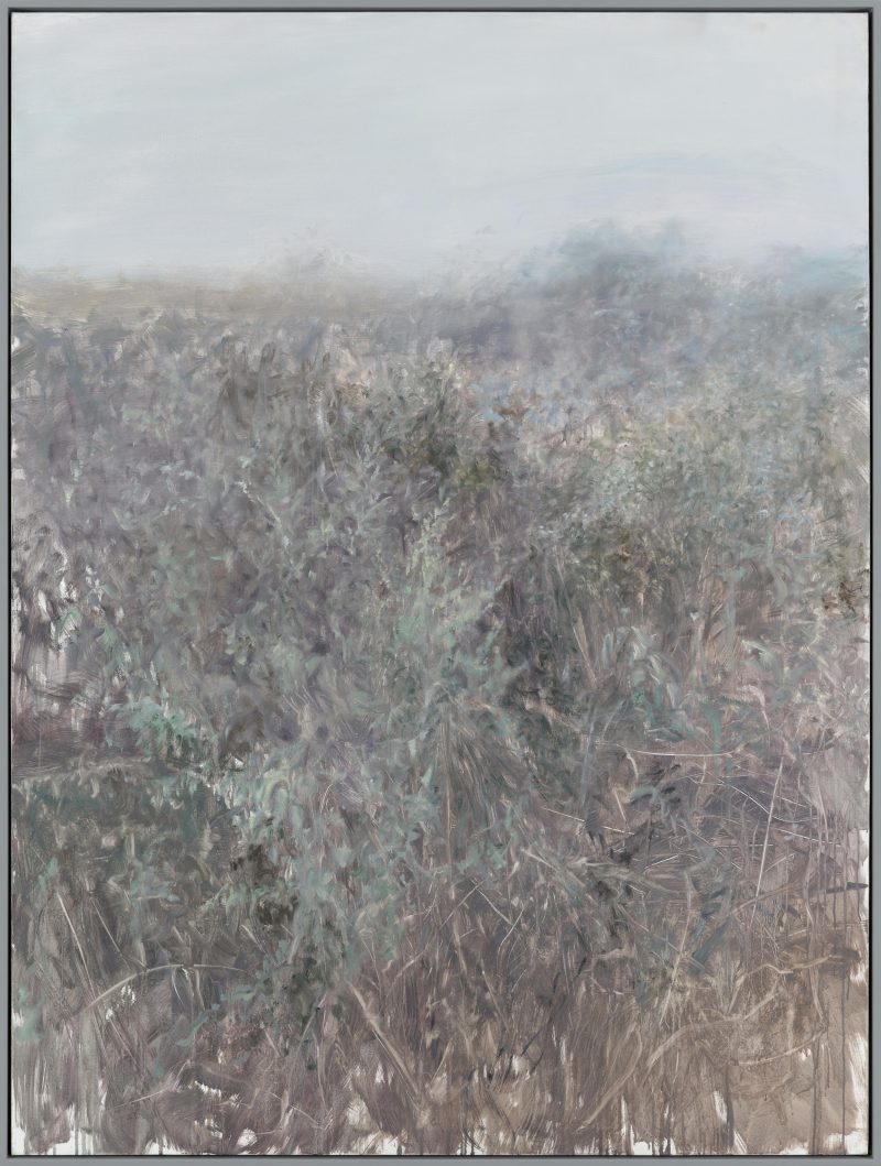Grass on the Plate No.6