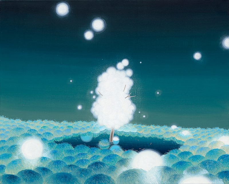 Forest Dreams 3